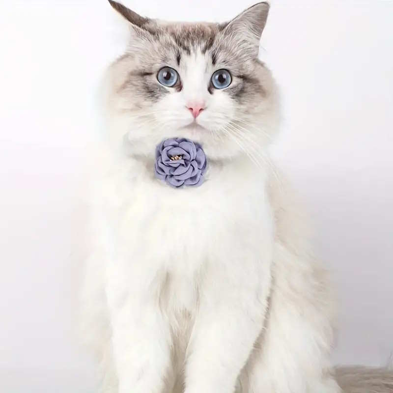 Simulation Camellia Solid Color Pet Collar Cat Accessories Cat Cotton Collar