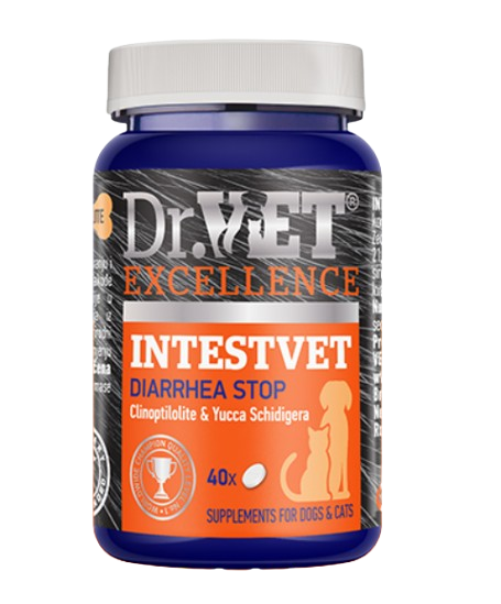 Dr.VET INTESIVET