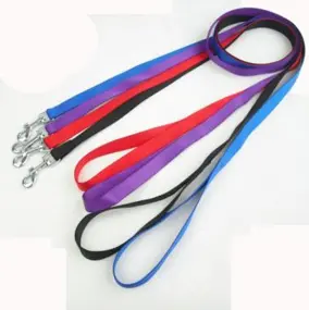SMALL NYLON SINGLE COLLAR