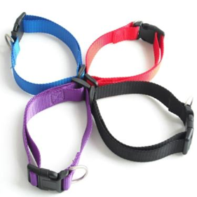 MEDIUM NYLON SINGLE COLLAR