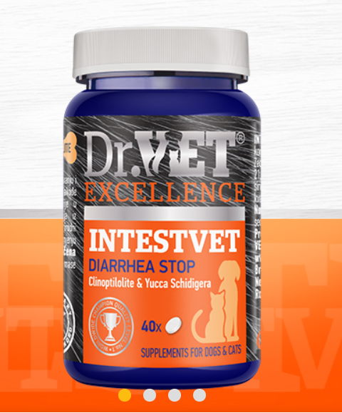 Dr.VET INTESIVET