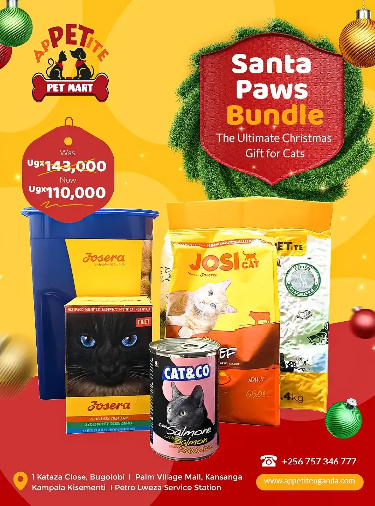 Santa Paws Christmas Bundle - Cats