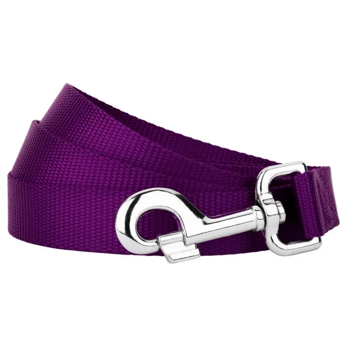 NYLON LEASH 2.5CM X 120CM