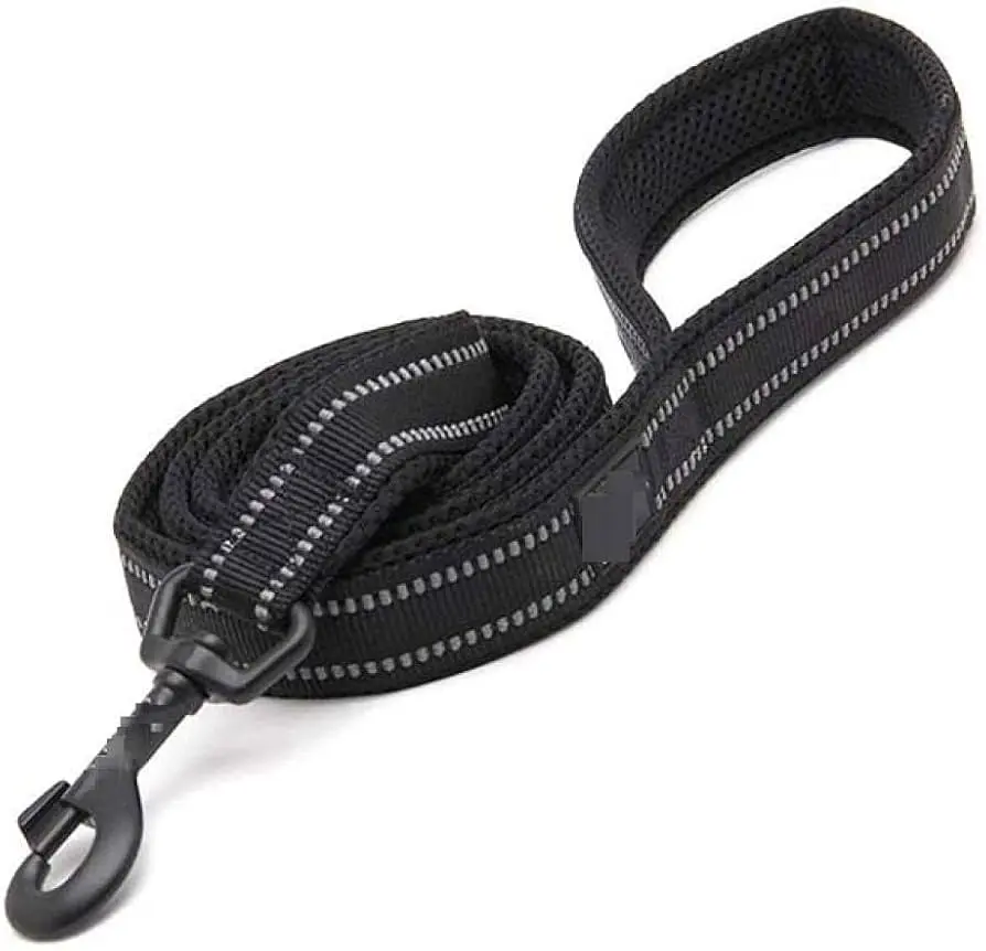 REFLECTIVE NYLON LEASH 2.5CM X 120CM (TAOTAOPETS)