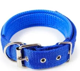 CLASSIC FOAM COLLAR WITH IRON BUCKLE