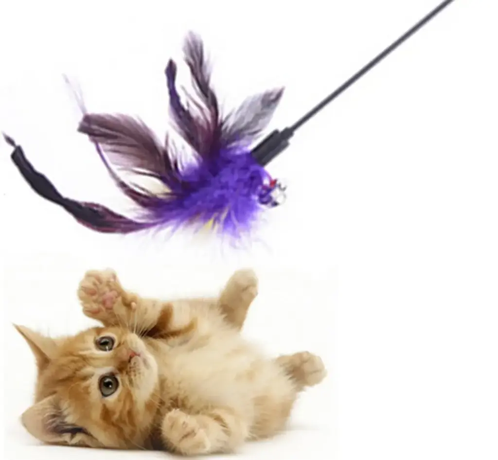 SPRING FEATHER TEASING WAND CAT TOY