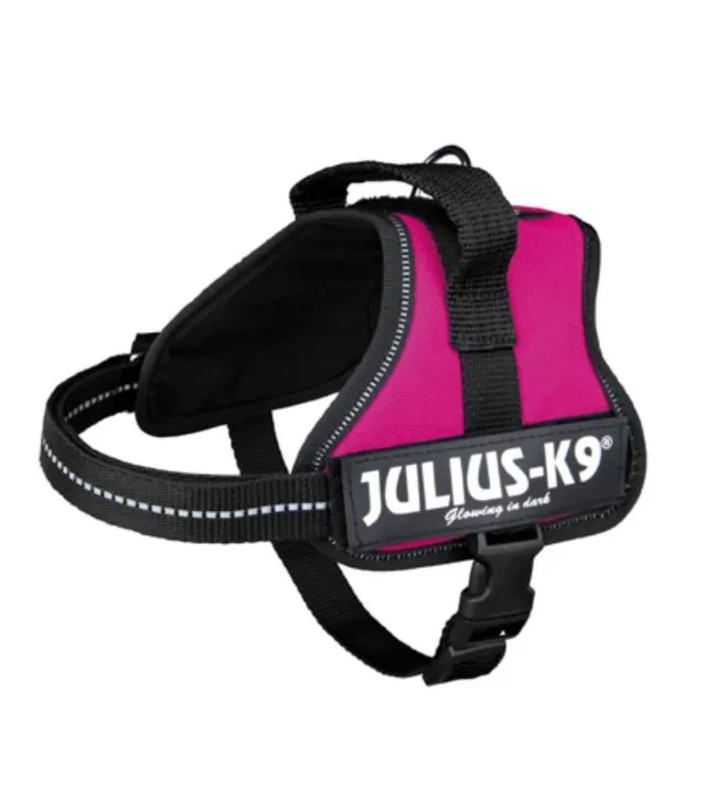 K9 explosion-proof chest back Harness