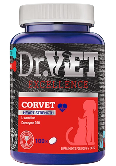 Dr.VET CORVET