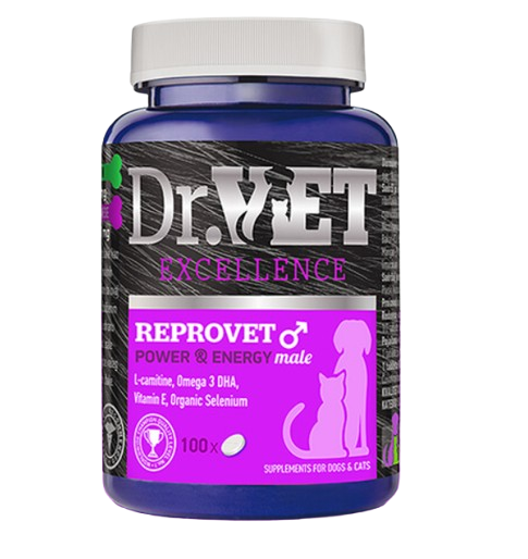 Dr.VET REPROVET MALE