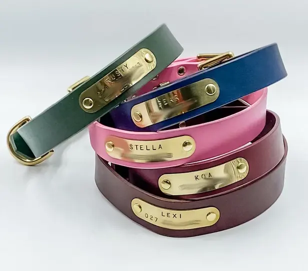 PUPPY LEATHER COLLAR WITH NAME PLATE