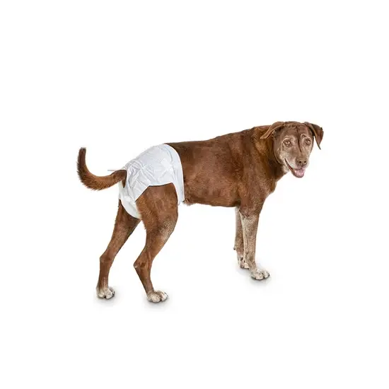 SECURE FIT DOG DIAPERS (10 PCS BUNDLE)