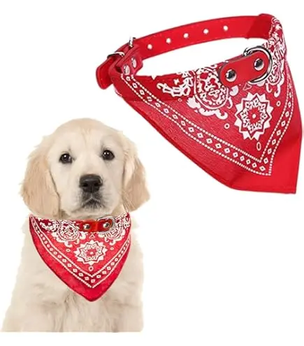 DOG COLLAR BANDANA