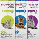 Dog Flea & Tick