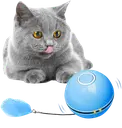 Pet Toys