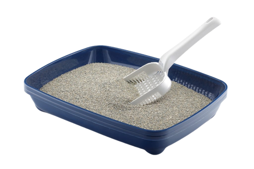 Cat Litter